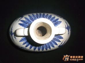 明宣德青花蕉葉花卉云龍紋雙耳大寶月瓶 古韻遺珍與虹膜保護科技的奇妙邂逅