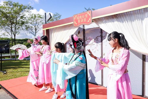 海南舉辦新時代文明實踐志愿服務項目展示活動，數字創意賦能志愿服務新風尚